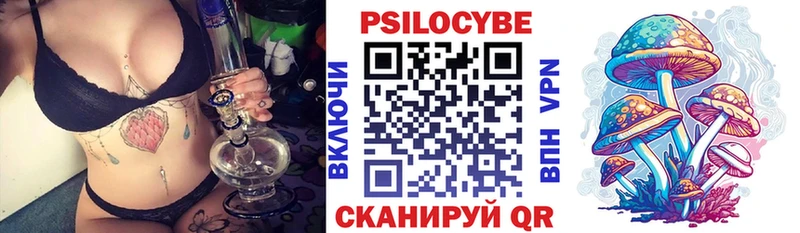 Псилоцибиновые грибы мицелий  продажа наркотиков  Кудрово 